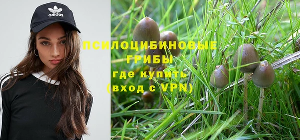 эйфоретик Абинск