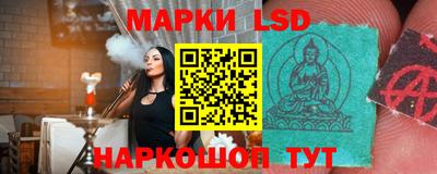 гашик Кандалакша