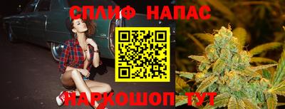 гашик Кандалакша