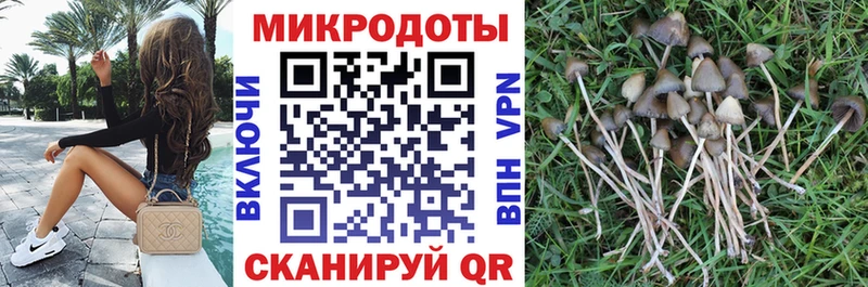 Галлюциногенные грибы MAGIC MUSHROOMS  Курчатов 